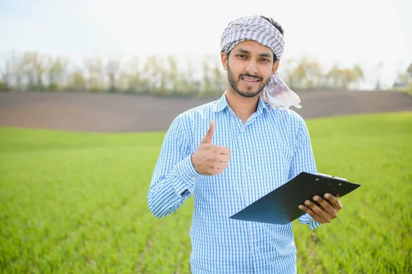 Sorgenfrei Steht Ein Indischer Bauer Seinem Gesunden Weizenfeld — Stockfoto