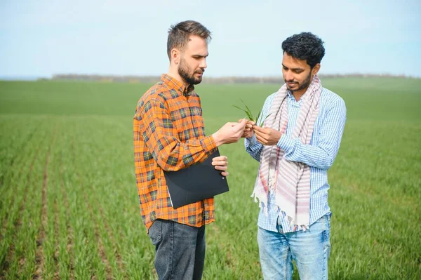 Dois Agricultores Indianos Campo Agrícola — Fotografia de Stock