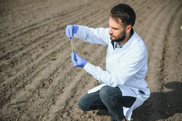 Testy Gleby Specjalista Agronomii Pobiera Próbki Gleby Analizy Płodności Ręce — Zdjęcie stockowe