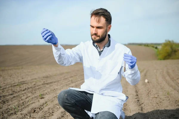 Toprak Testi Tarım Uzmanı Doğurganlık Analizi Için Toprak Örneği Alıyor — Stok fotoğraf