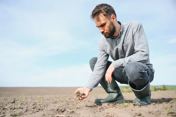Bir Çiftçi Ekmeden Önce Toprağın Kalitesini Kontrol Eder — Stok fotoğraf