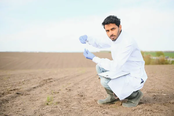 Testování Půdy Specialista Indické Agronomie Odebírá Vzorky Půdy Pro Analýzu — Stock fotografie