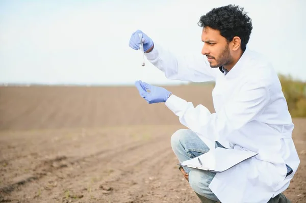 Toprak Testi Hintli Tarım Uzmanı Doğurganlık Analizi Için Toprak Örneği — Stok fotoğraf