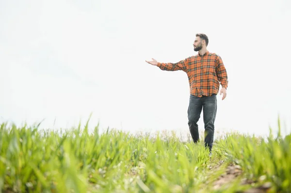 Ein Mann Als Bauer Der Kariertem Hemd Und Jeans Über — Stockfoto