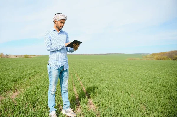 彼の健康的な小麦畑に立つインド人農家は — ストック写真