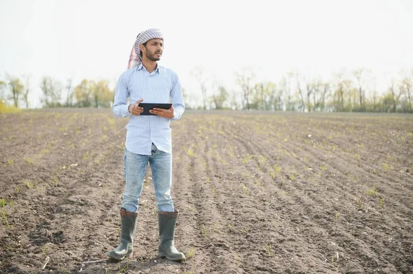 Joven Agricultor Indio Inspecciona Campo Antes Sembrar — Foto de Stock