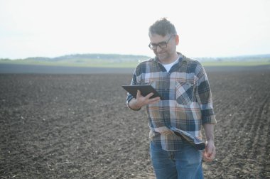 Çiftçi baharda tarlada tabletle çalışıyor. Yaşlı bir çiftçi tablet ve yeşil filizlere bakar. Elinde tablet olan zeki bir tarım uzmanı tarlayı kontrol ediyor. Çevre dostu tarım