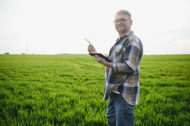 Yeşil buğday tarlasında duran kıdemli çiftçinin portresi