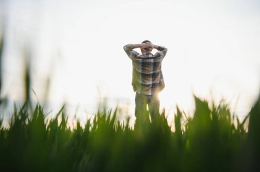 Deneyimli ve kendine güvenen bir çiftçi. Buğday tarlasında kıdemli çiftçi portresi