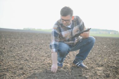 Bir çiftçi ekmeden önce toprağın kalitesini kontrol eder