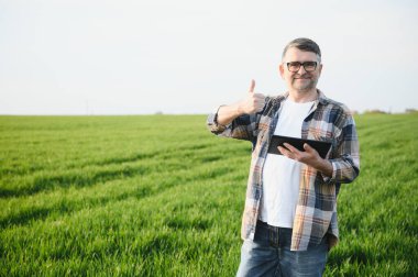 Deneyimli ve kendine güvenen bir çiftçi. Buğday tarlasında kıdemli çiftçi portresi