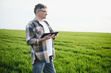 Yeşil buğday tarlasında duran kıdemli çiftçinin portresi