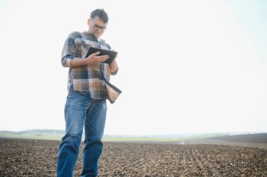 Çiftçi baharda tarlada tabletle çalışıyor. Yaşlı bir çiftçi tablet ve yeşil filizlere bakar. Elinde tablet olan zeki bir tarım uzmanı tarlayı kontrol ediyor. Çevre dostu tarım