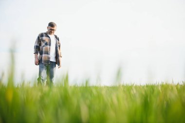 Portrait of senior farmer standing in wheat field examining crop during the day