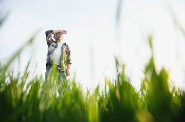 Yeşil buğday tarlasında duran kıdemli çiftçinin portresi