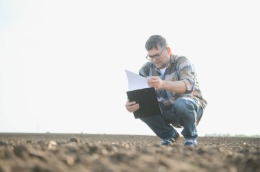 Bir çiftçi baharda ekilen bir tarlada çalışır. Sonbaharda tarlada sürülen tarlaları değerlendiren bir tarım uzmanı. Tarım. Akıllı tarım teknolojileri
