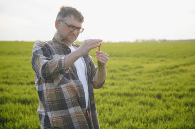 Portrait of senior farmer standing in wheat field examining crop during the day