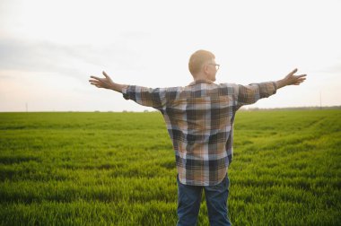 Deneyimli ve kendine güvenen bir çiftçi. Buğday tarlasında kıdemli çiftçi portresi