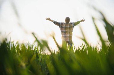 Deneyimli ve kendine güvenen bir çiftçi. Buğday tarlasında kıdemli çiftçi portresi