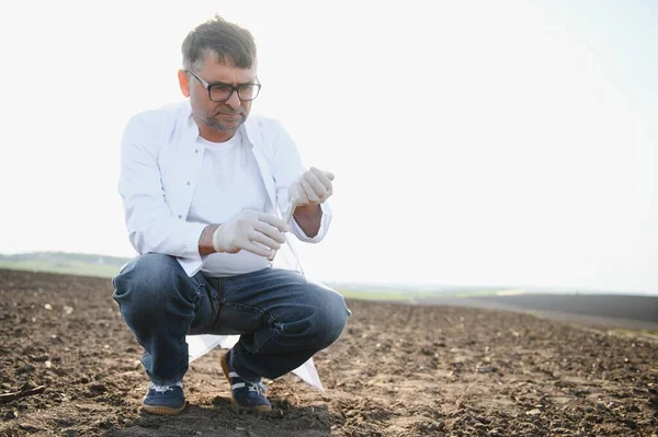 Toprağı test ediyoruz. Agronomist. Çevre koruma, organik toprak sertifikası, Toprak Doğurganlık Analizi.