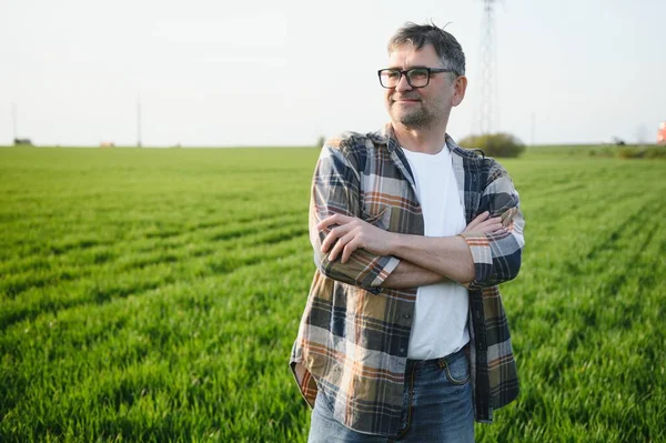 Ervaren Zelfverzekerde Boer Zijn Veld Portret Van Senior Landbouwer Tarweveld — Stockfoto