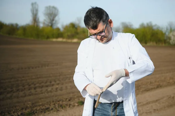 Pov View Farmer Owner Control Soil Quality Seed Plant Концепция — стоковое фото