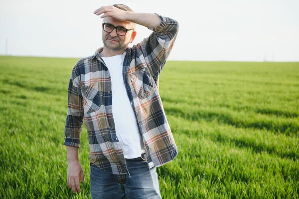 stock image Portrait of senior farmer in wheat field.