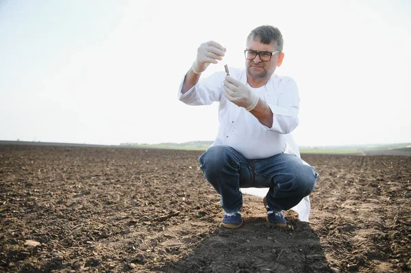 土壌採取 土壌プローブサンプラーでサンプルを採取する農学者 環境保護 有機土壌認証 — ストック写真