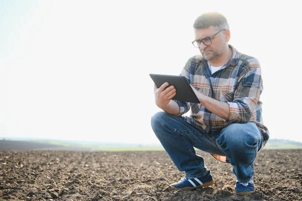 Petani Bekerja Lapangan Musim Semi Dengan Tablet Seorang Petani Tua — Stok Foto