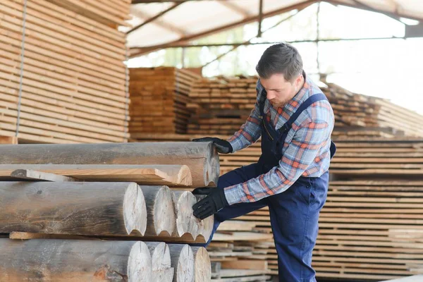 Builder holds wooden planks. Concept - sale of lumber. Builder is considering wood planks. Concept - wood processing business. wood timber stack of wooden planks