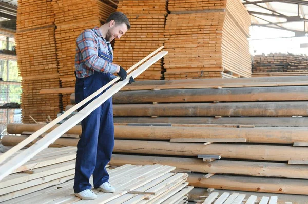Builder holds wooden planks. Concept - sale of lumber. Builder is considering wood planks. Concept - wood processing business. wood timber stack of wooden planks