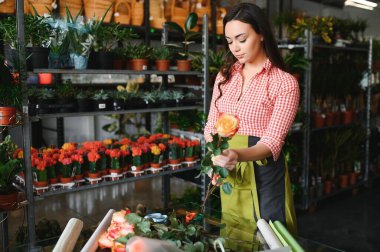 Şirin bir çiçekçi kız çiçekçide bir buket gül topluyor. Güzel bir çiçekçi çiçeklerden bir kompozisyon oluşturur. Kız çiçekleri keser ve bayat yaprakları temizler..