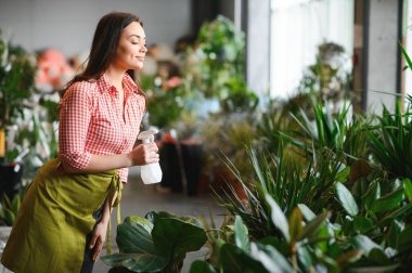 Çiçek ve bitkilerle ilgilenen güzel bir kadın bahçıvan. Serada çalışan bir kadın..