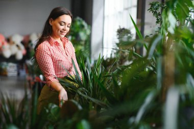 Çiçekçide güzel bir çiçekçi. Çiçekçi dükkanında fotokopi odası olan bir kadın. Başarılı çiçekçi gülümsüyor..