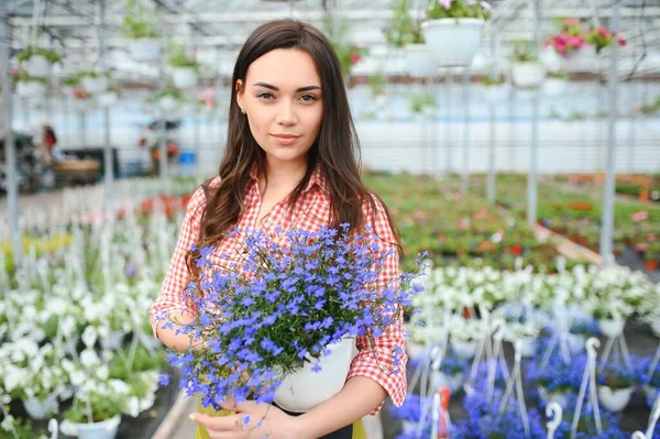 Mulher Florista Trabalhando Sua Loja Flores Cercado Por Plantas — Fotografia de Stock