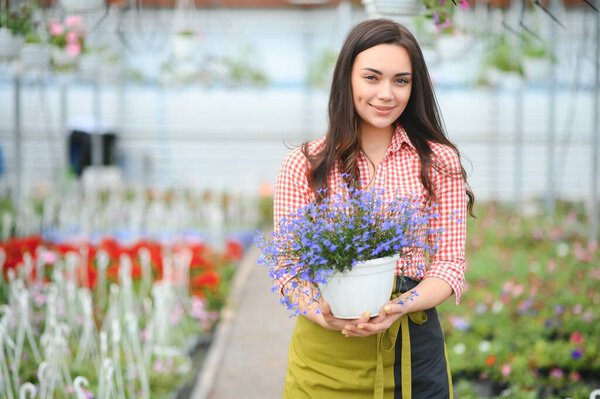 Woman florist working at her flower shop standing surrounded by plants.