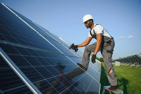 Competent energy engineer in grey overalls and orange helmet checking solar panels while walking on field. African american man carrying clipboard and container with instruments.
