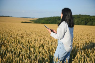 Woman farmer with tablet in a wheat field at sunset