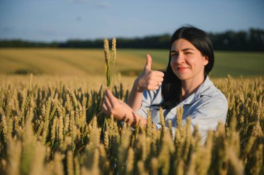Gün batımında buğday tarlasında kadın çiftçi