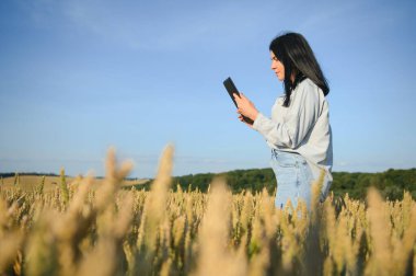 Woman farmer with tablet in a wheat field at sunset
