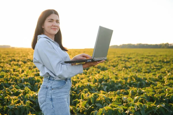 Vrouwelijke Landbouwer Landbouwkundige Die Groene Sojabonen Het Veld Onderzoekt — Stockfoto