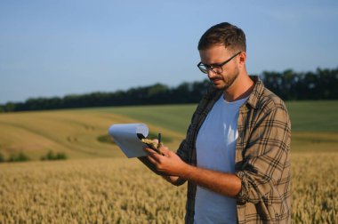 Gün batımında buğday tarlasında çiftçi adam. Çiftçilik ve tarım ürünleri.