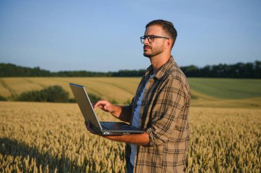 Hasatta Buğday Tarlasında Çiftçi.