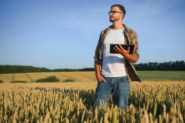 Gün batımında buğday tarlasında çiftçi adam. Çiftçilik ve tarım ürünleri.