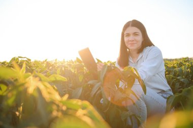 Soya tarlasında bir kadın çiftçi..