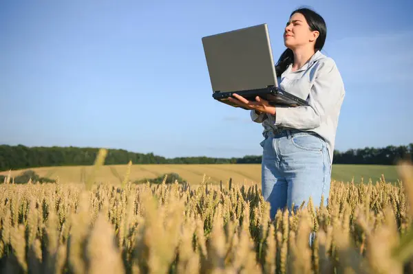 Woman Businessman Laptop Her Hands Works Wheat Field Communicates Checks — Stock Photo, Image