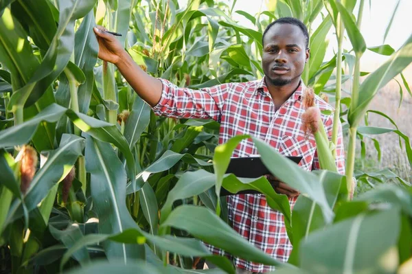 African Farmer Står Den Gröna Gården Med Hållningstablett — Stockfoto