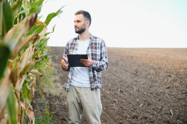 Mısır yıl teftiş çiftçi veya mısır hasat