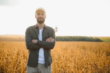 Soya tarlasında çiftçi ya da tarım uzmanı gün batımında mahsulü inceliyor..