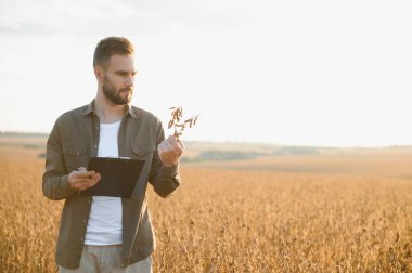 Soya tarlasında tarım yapan çiftçi. Tarım endüstrisi
